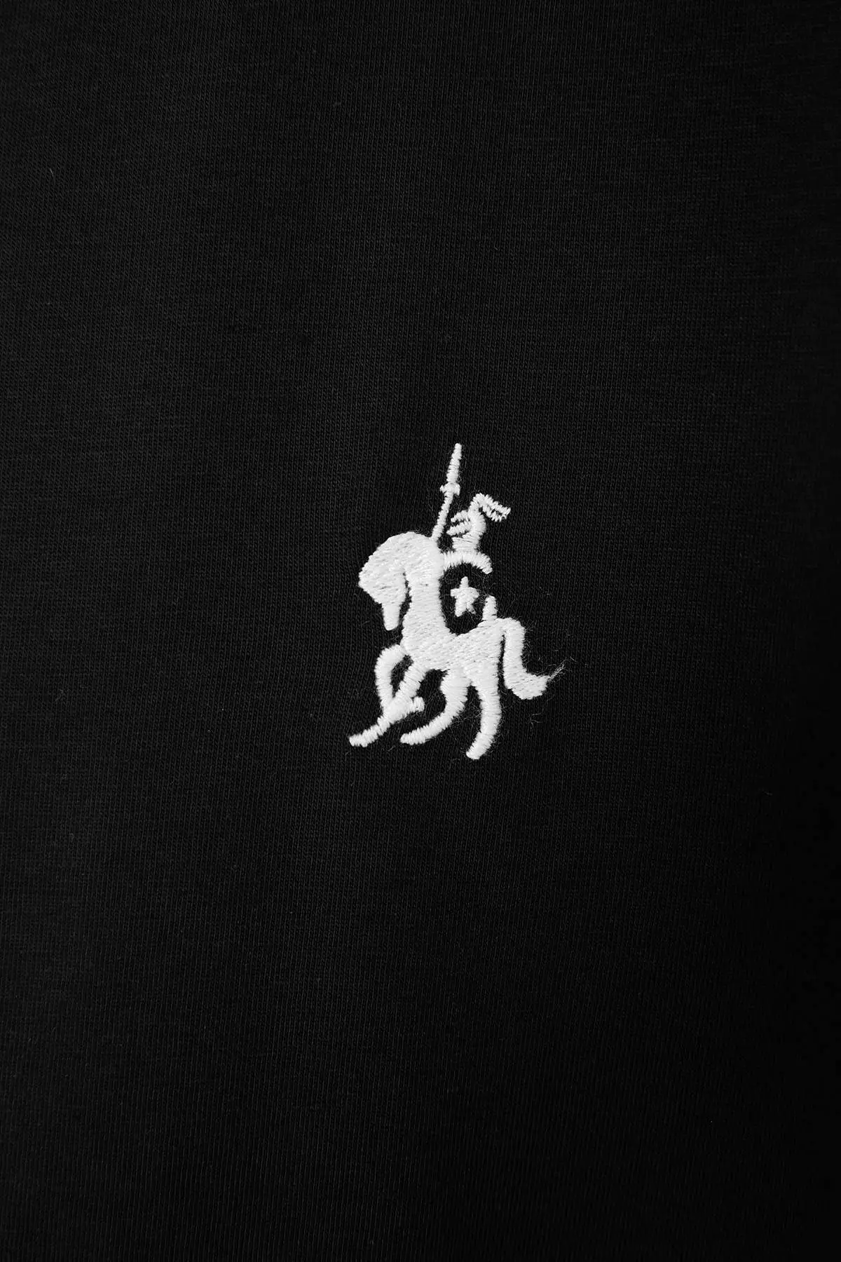Black Crew Neck Embroidery Detailed Regular Fit Plus Size T-Shirt Tbbss26Bf00032