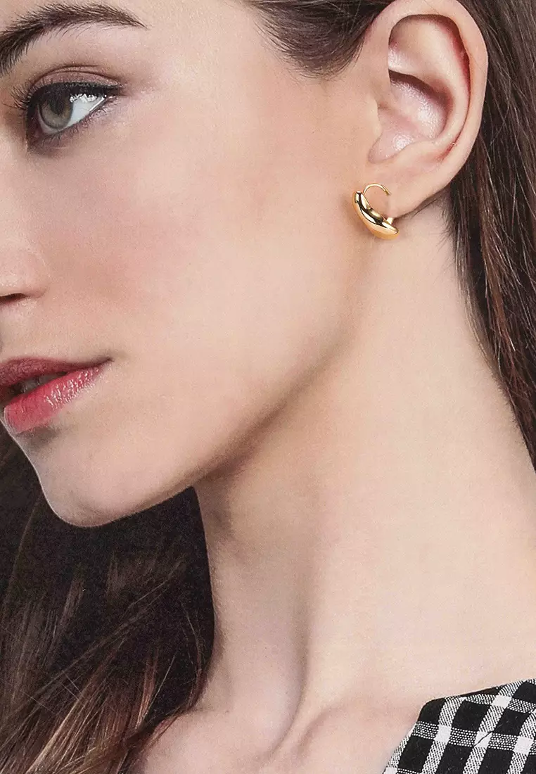 Hook Cover Pierced Earrings