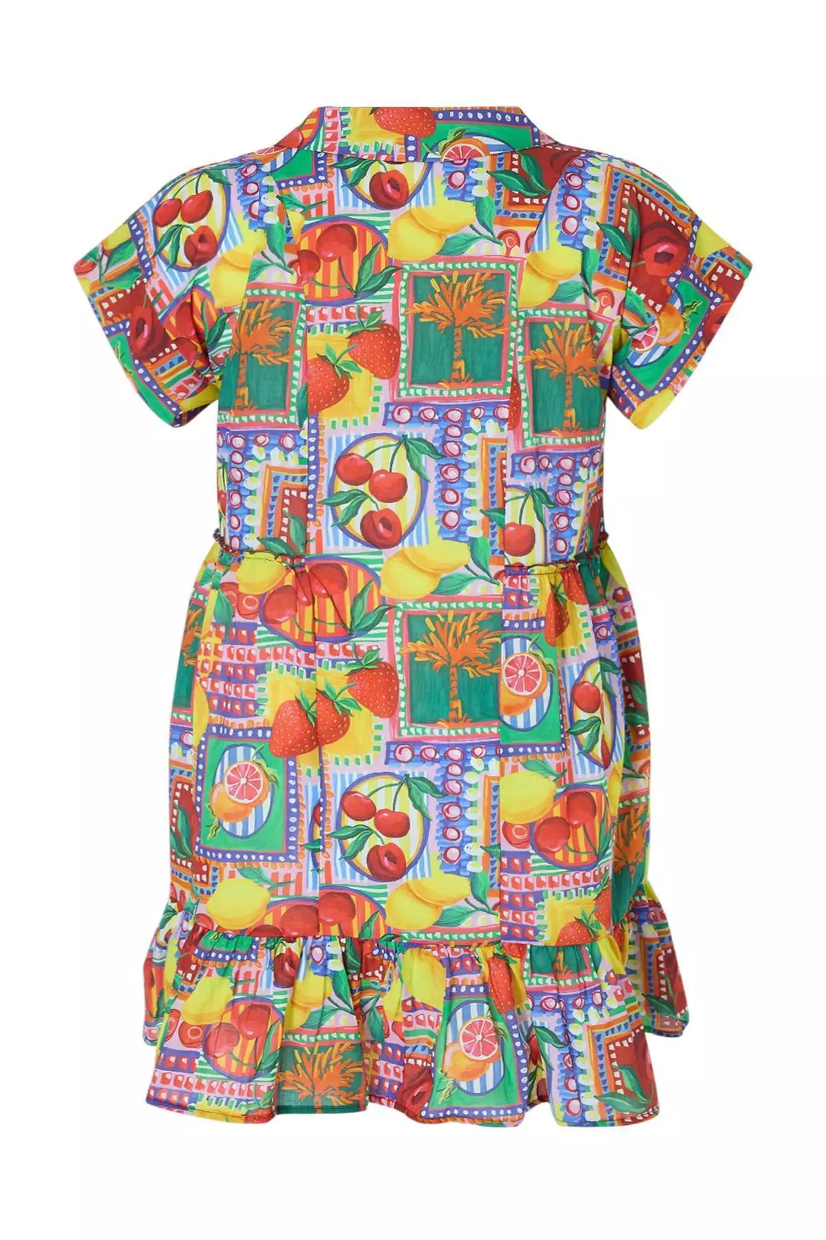 Multi-Colored Fruit Patterned Plus Size Beach Dress Tbbss26Ah00093