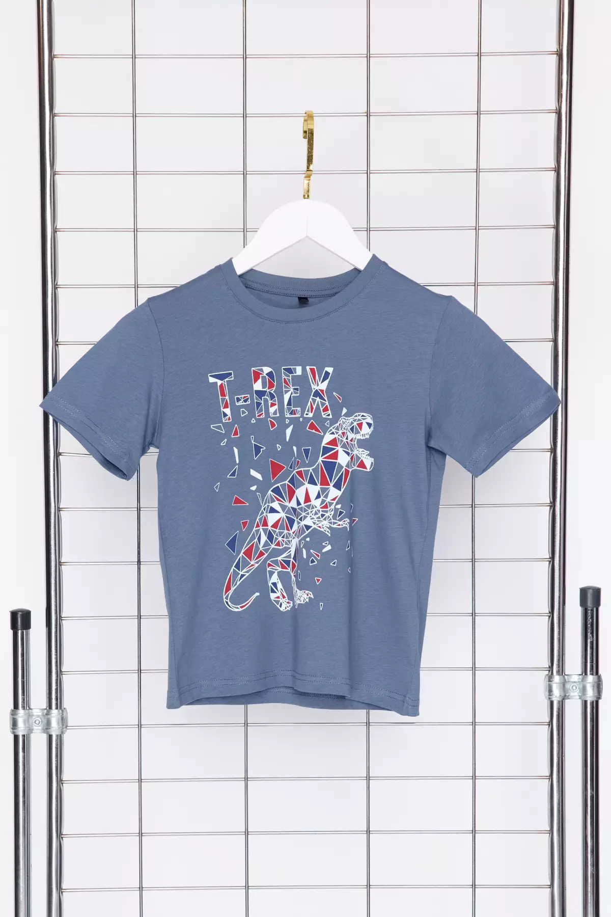 Dinosaur T-Shirt