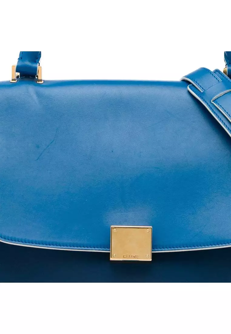 Pre-Loved Celine Small Bicolor Calfskin And Nubuck Trapeze Satchel