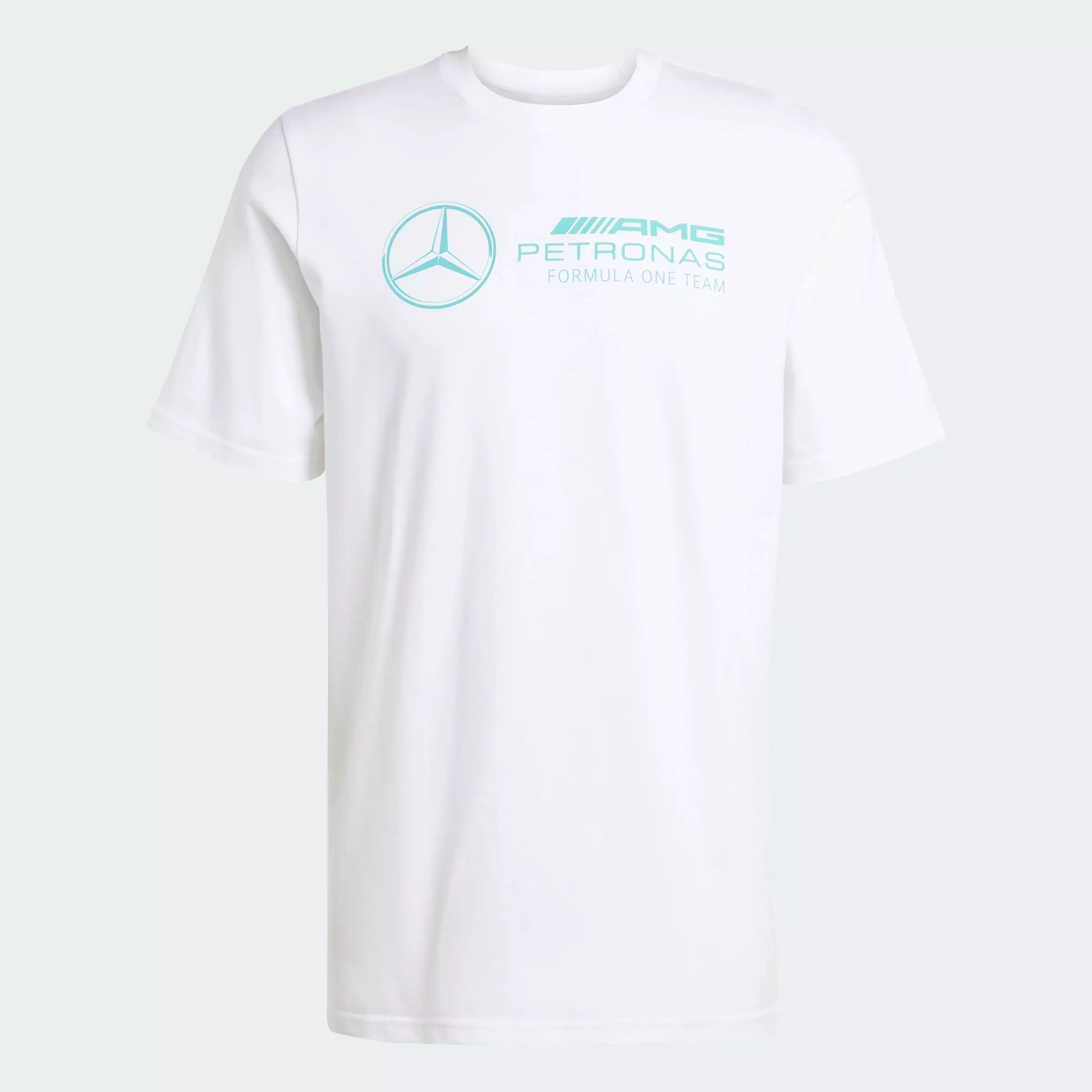 Motorsport Mercedes - AMG Petronas Formula One Team DNA Graphic Tee Men White JV5456