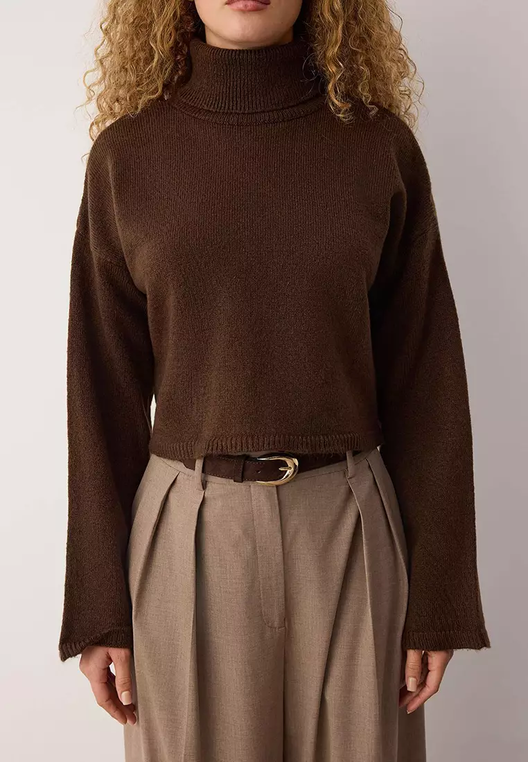 Brown Wardrobe Essentials Wide Pattern Soft Texture Crop/Short Knit Sweater