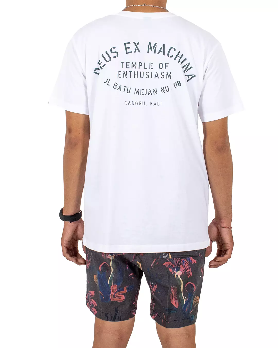 Bald Terrier V-Twin OG