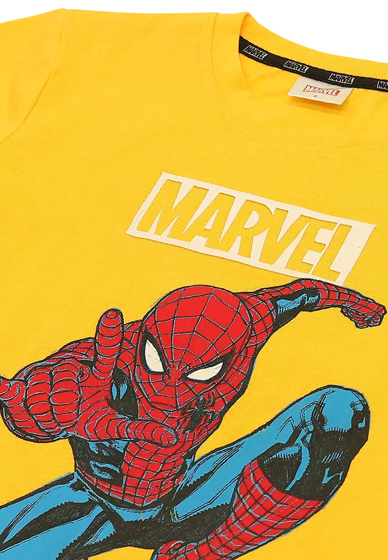 Boys Licensed Graphic T-Shirt Spidey Pose