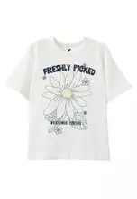 Vanilla/Freshly Picked