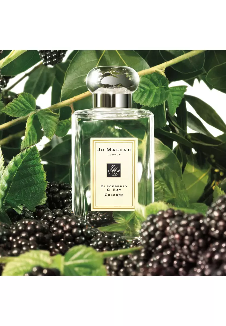 JO MALONE - Blackberry & Bay Cologne 100ml