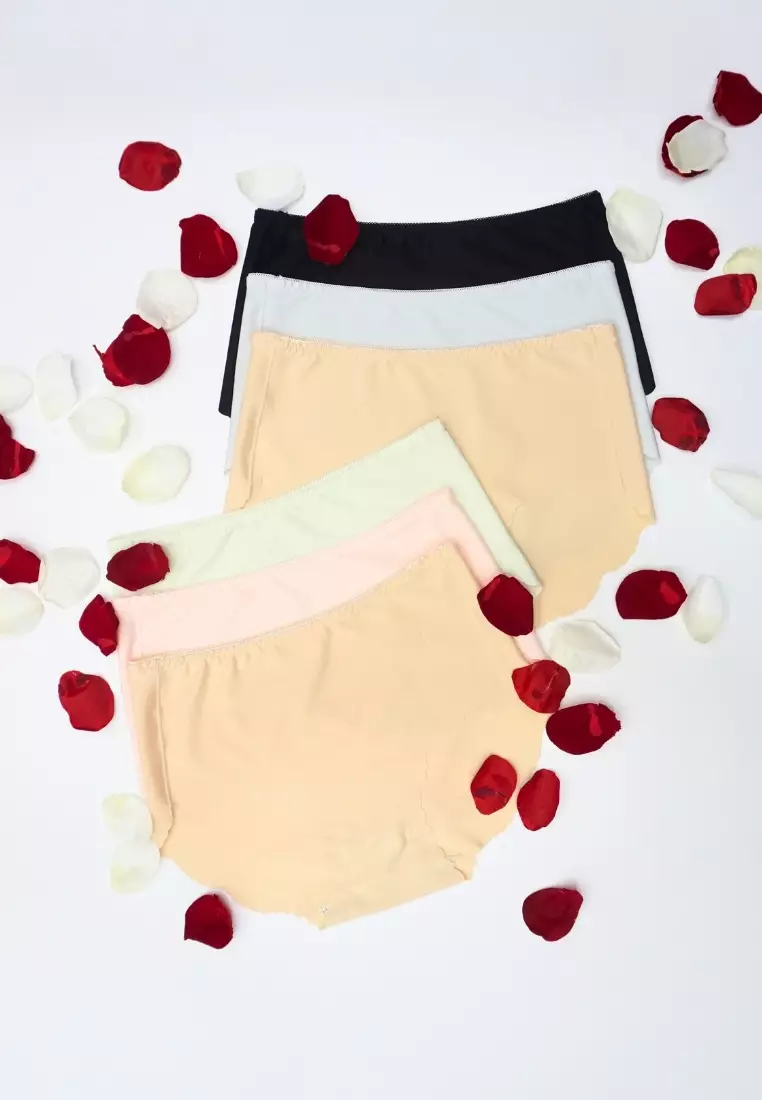 Premium 6 Pack Presley Seamless Panties Bundle A