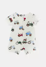 Vanilla/Farmer S Truck