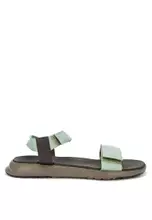 Olive Strata/Tent Green/Shadow Olive