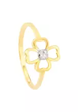 Yellow and White Gold