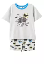 Licensed WB Cloud Marle/Batman Cartoon