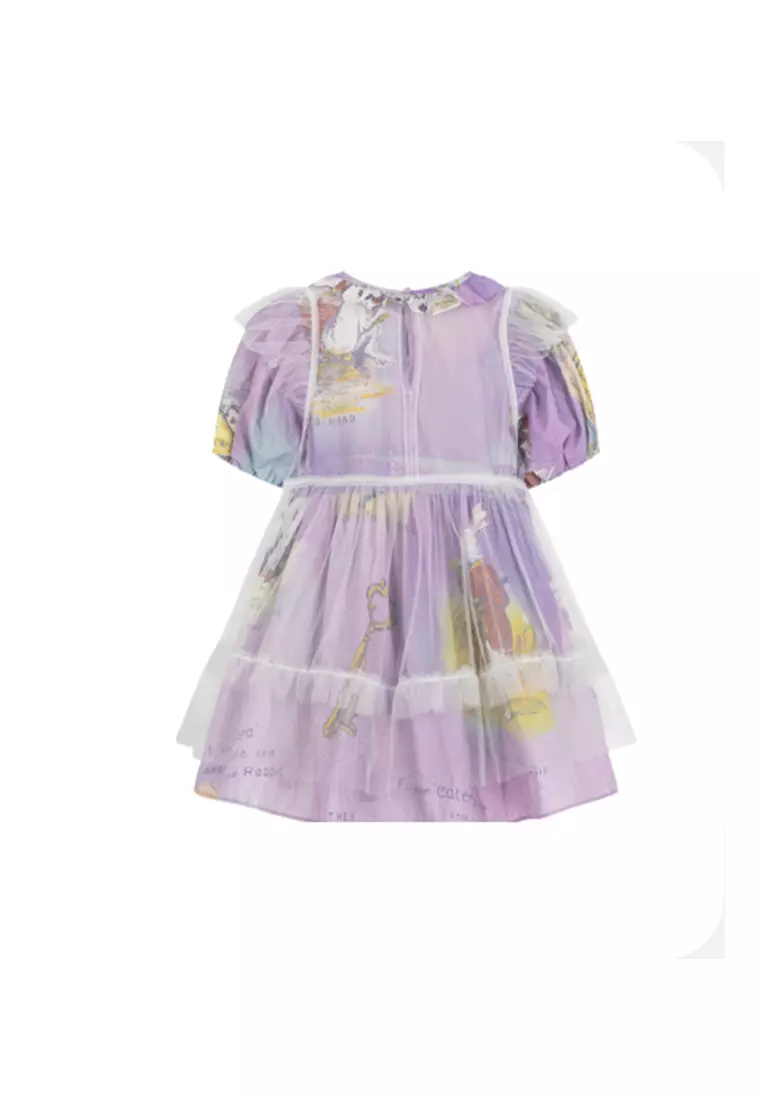 Multicolour Printed Mesh Ruffled Tulle Dress