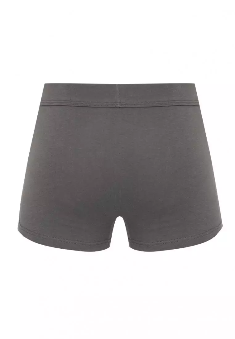 Buy Sunjoy Underwear Boxer Brief 2024 Online