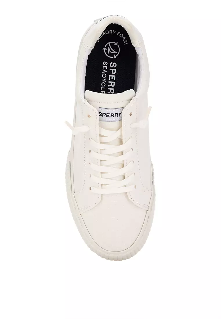 Sperry canvas sneakers cheap