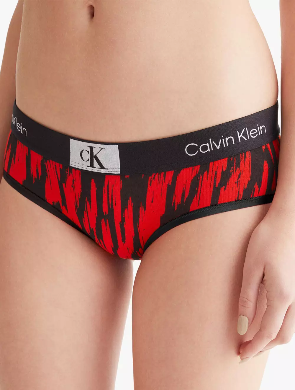 CALVIN KLEIN UNDERWEAR - CALVIN KLEIN 1996 HIPSTER - multi