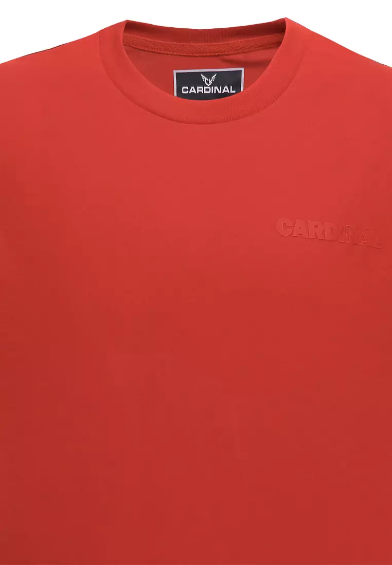 Kaos Polos