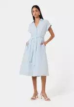 Blue Stripe