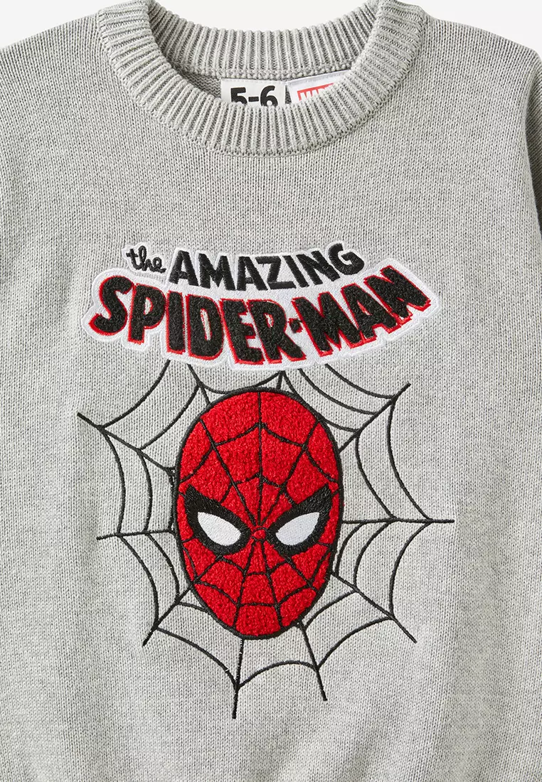 Licensed Knit Pull Over