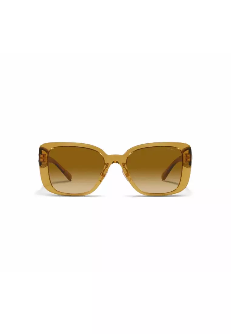 Coach eyewear 2025 online