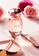 Kate Spade Fragrances pink Kate Spade New York EDP 100ML 8EC33BEC6ACADFGS_6
