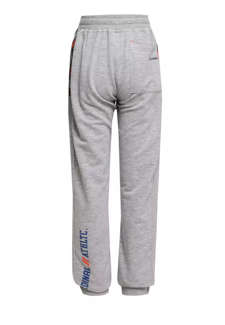 FLEX I Joggers Grey main image 1