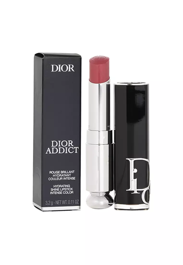 CHRISTIAN DIOR - 鏡光誘惑唇膏 - # 422 Rose Des Vents 3.2g/0.11oz