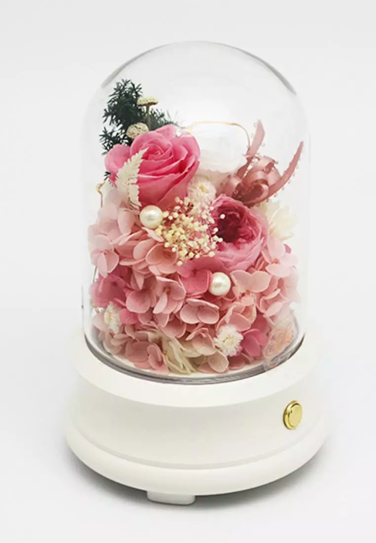Her Jewellery Her Rose - Everlasting Preserved Rose - Celestial Bluetooth Speaker with LED Lights (Pink Rose)