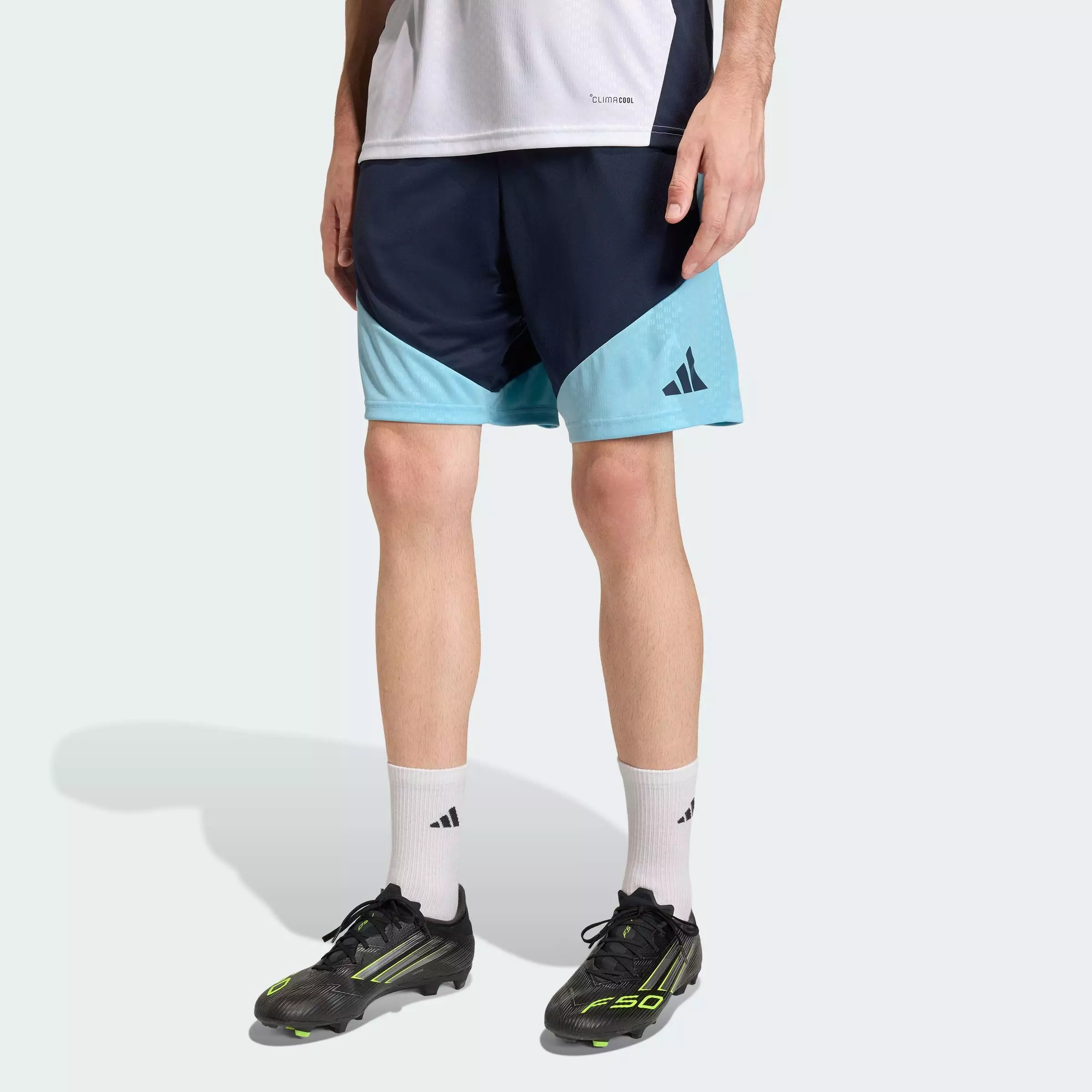 Football Argentina 26 Tiro Training Shorts Men Blue JY7031