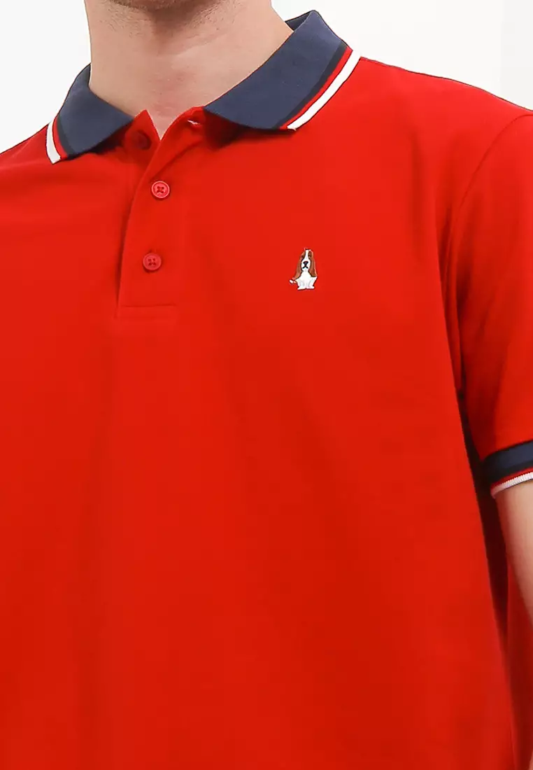 Daumier Stripe Flatknit Polo Shirt