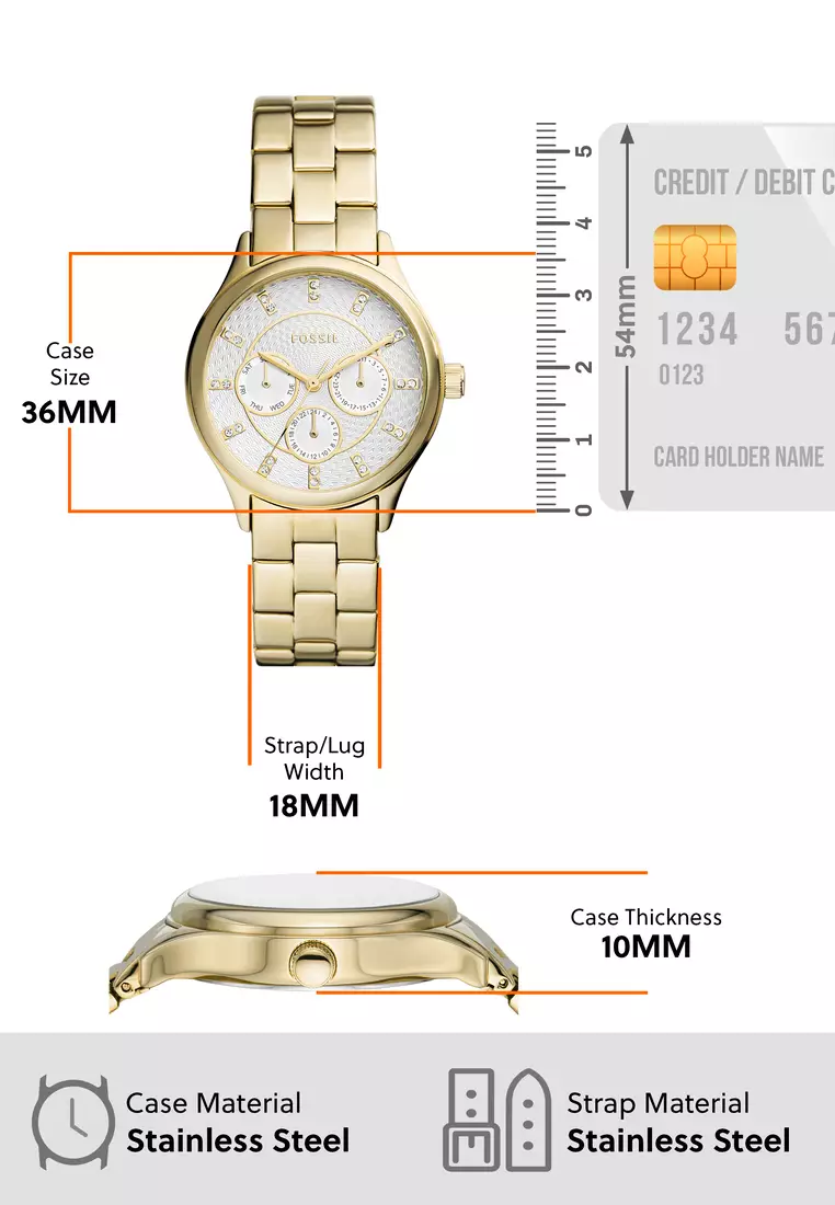 Buy Fossil Modern Sophisticate Watch BQ3912 2023 Online | ZALORA
