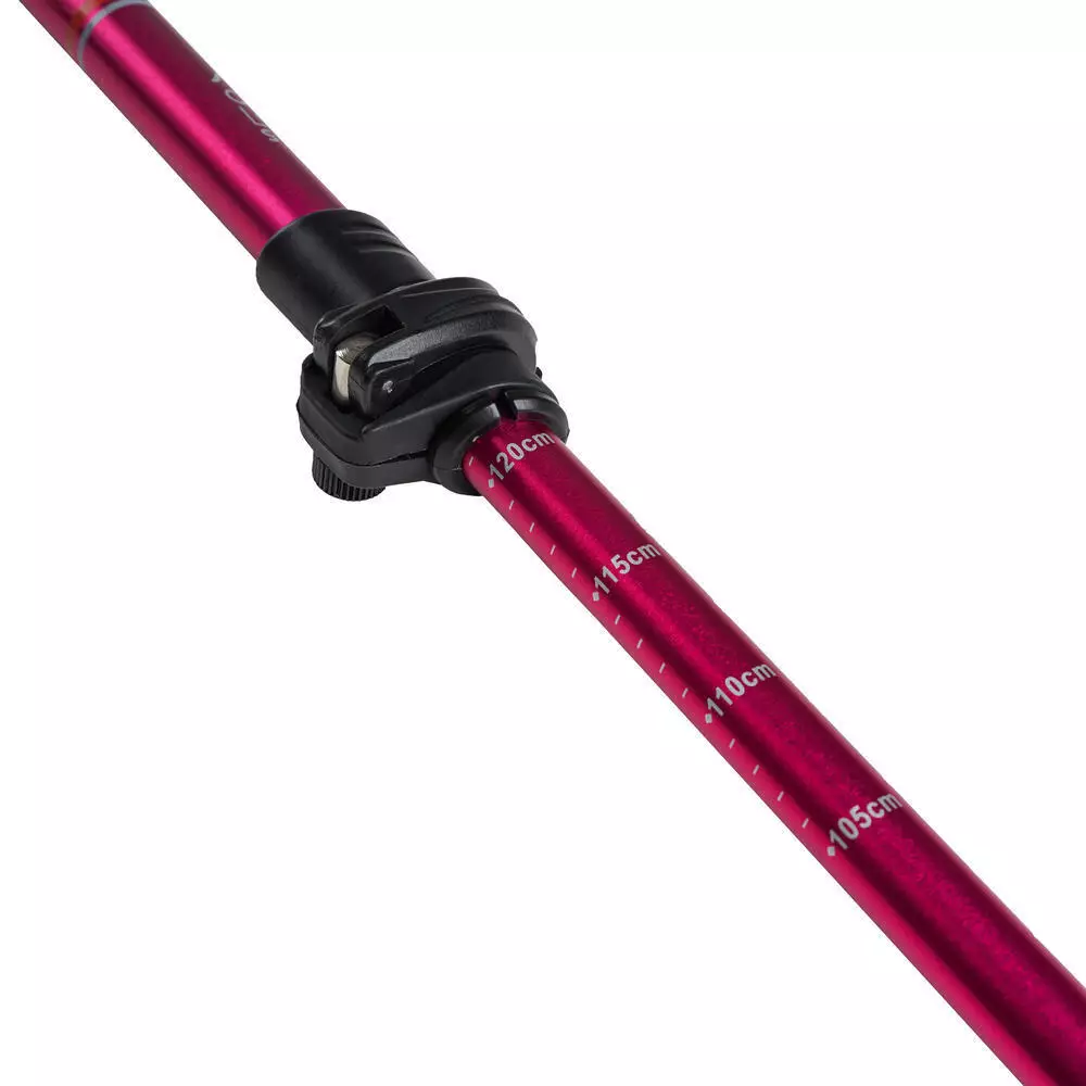 Eiger Women Valor Trekking Pole 1.0