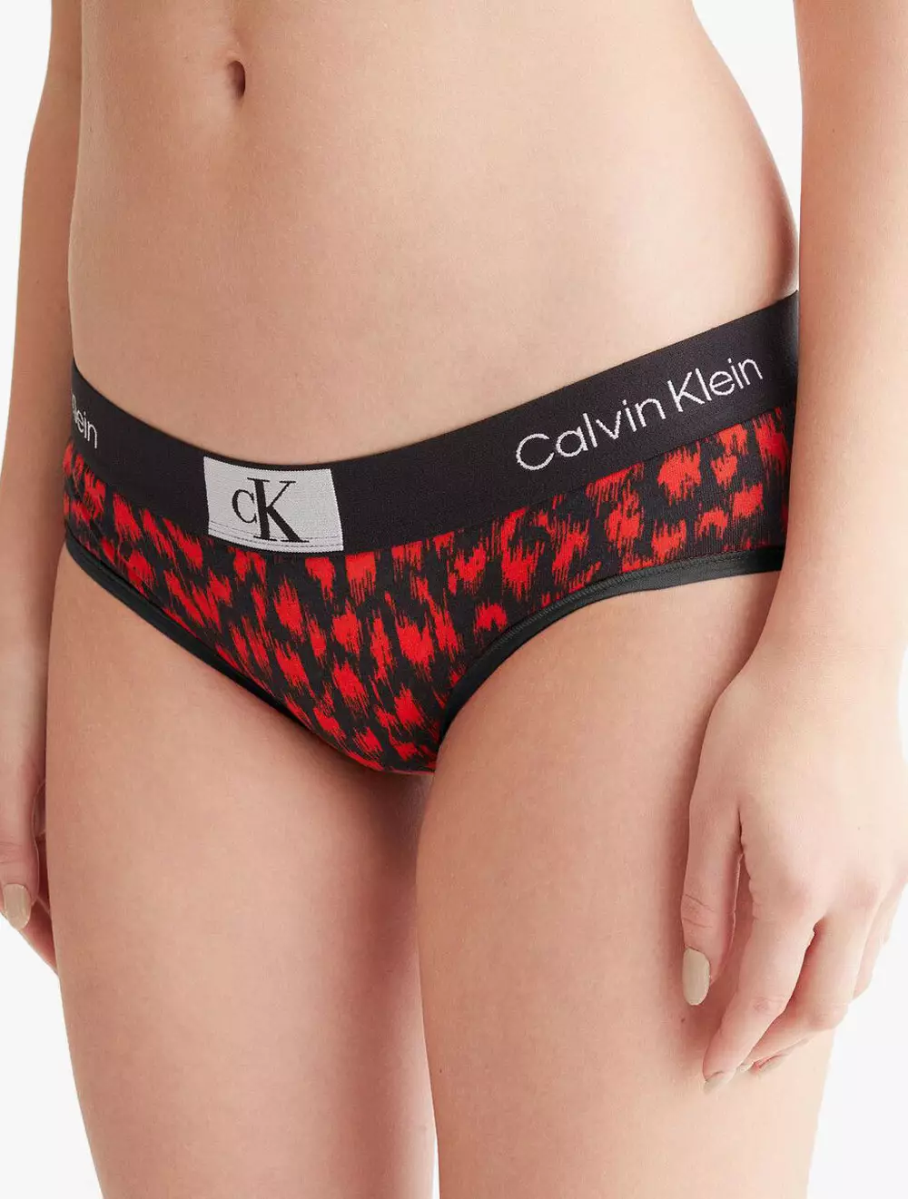 CALVIN KLEIN UNDERWEAR - CALVIN KLEIN 1996 HIPSTER - multi