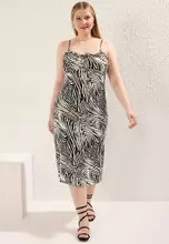 Black Zebra