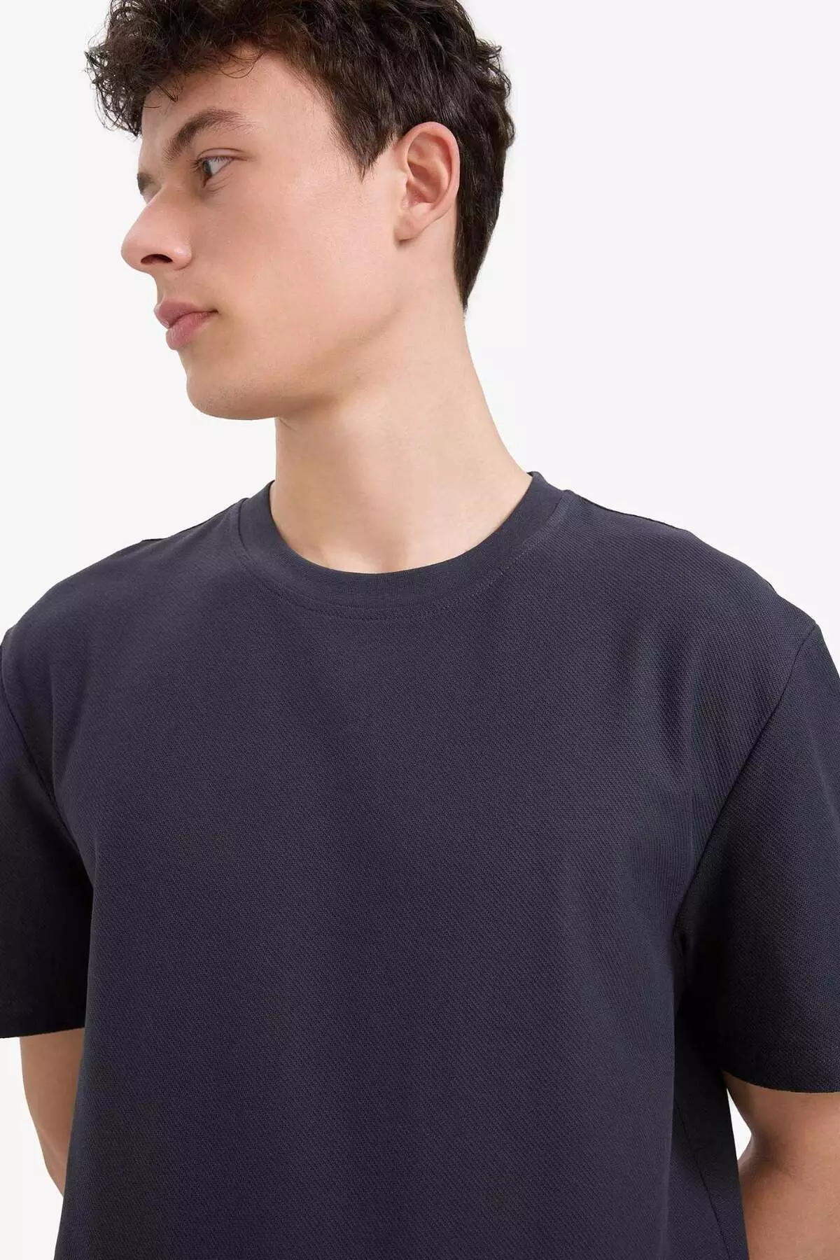 100% Cotton Regular Fit Crew Neck Short Sleeve Heavy Fabric T-Shirt E2589Ax25Sm