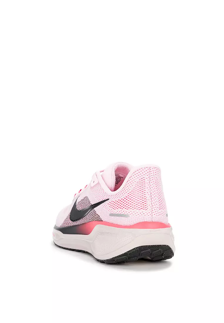 Pegasus 41