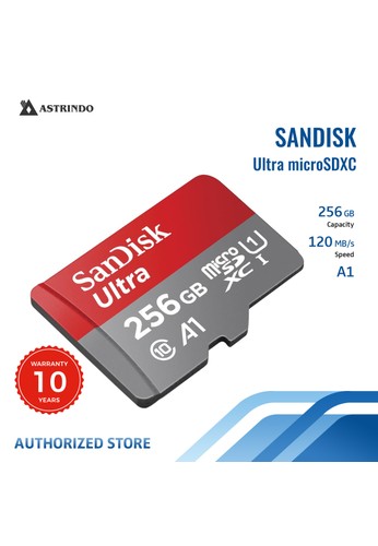 Sandisk SanDisk Ultra microSDHC, SQUA4 256GB, A1, C10, U1 6E584ES15E028BGS_1