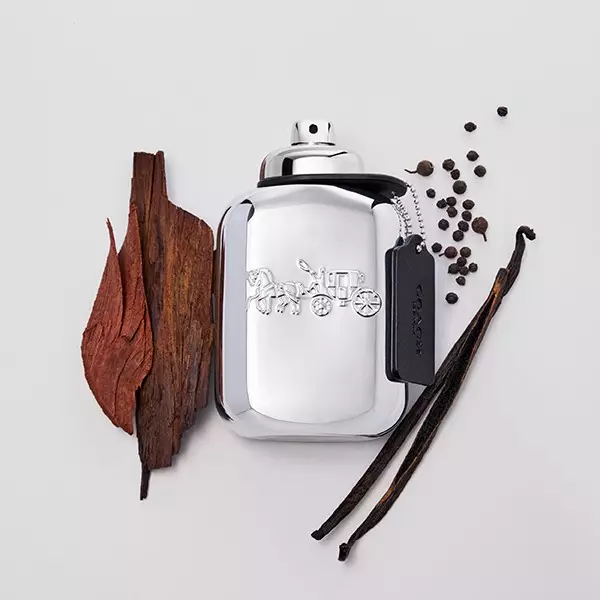 Coach Platinum EDP 100 ml - Parfum Pria