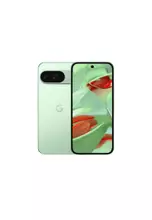 Buy Google Pixel 9 12GB/128GB (Wintergreen) 2025 Online | ZALORA