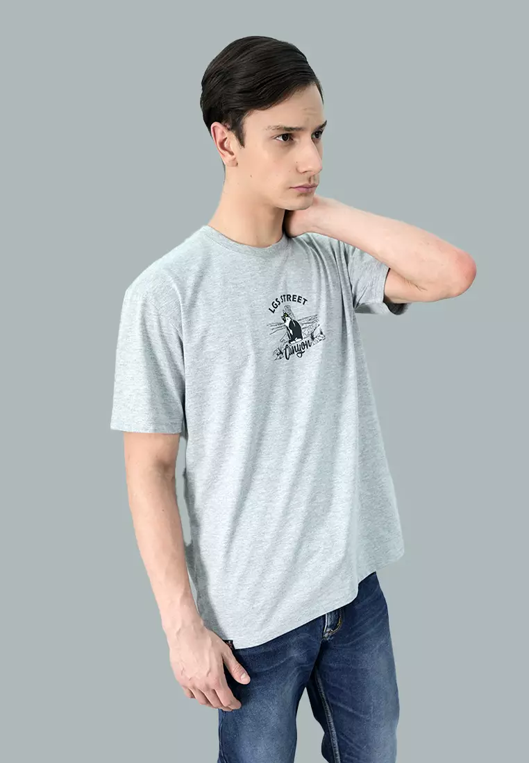 LGS Street - Kaos - Streetwear - Abu - Unisex - ST.30.H092.004.C