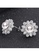 A.Excellence silver Premium Japan Akoya Sea Pearl  6.75-7.5mm Flower Earrings 51306AC5024D18GS_3