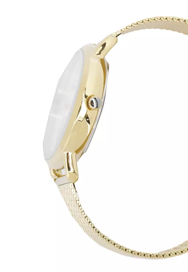 Slazenger Casual Women's Watches SLZ SL.09.6176.3.04