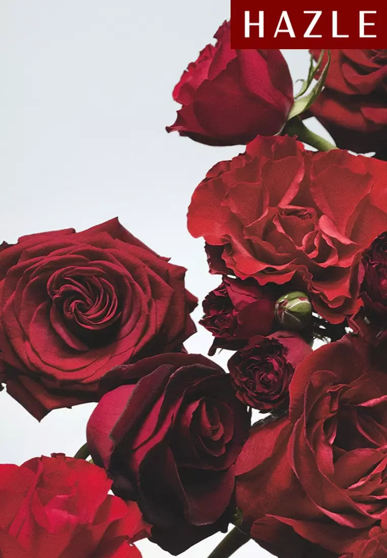 Red Roses Unisex Cologne 100 ml