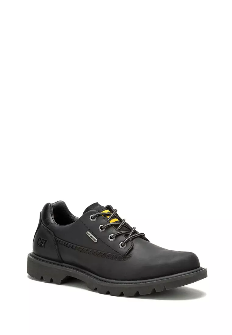Low cat shoes 2025