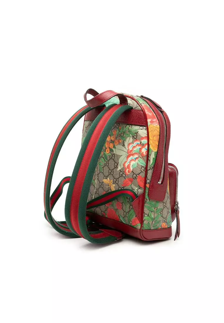Pre-Loved Gucci Small Gg Supreme Web Tian Backpack