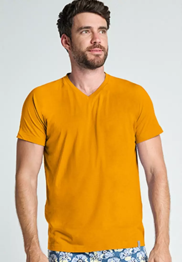 EJC LOOSE FIT V-NECK COLORED SHIRT