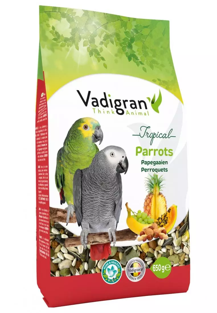 Tropical parrot sale food