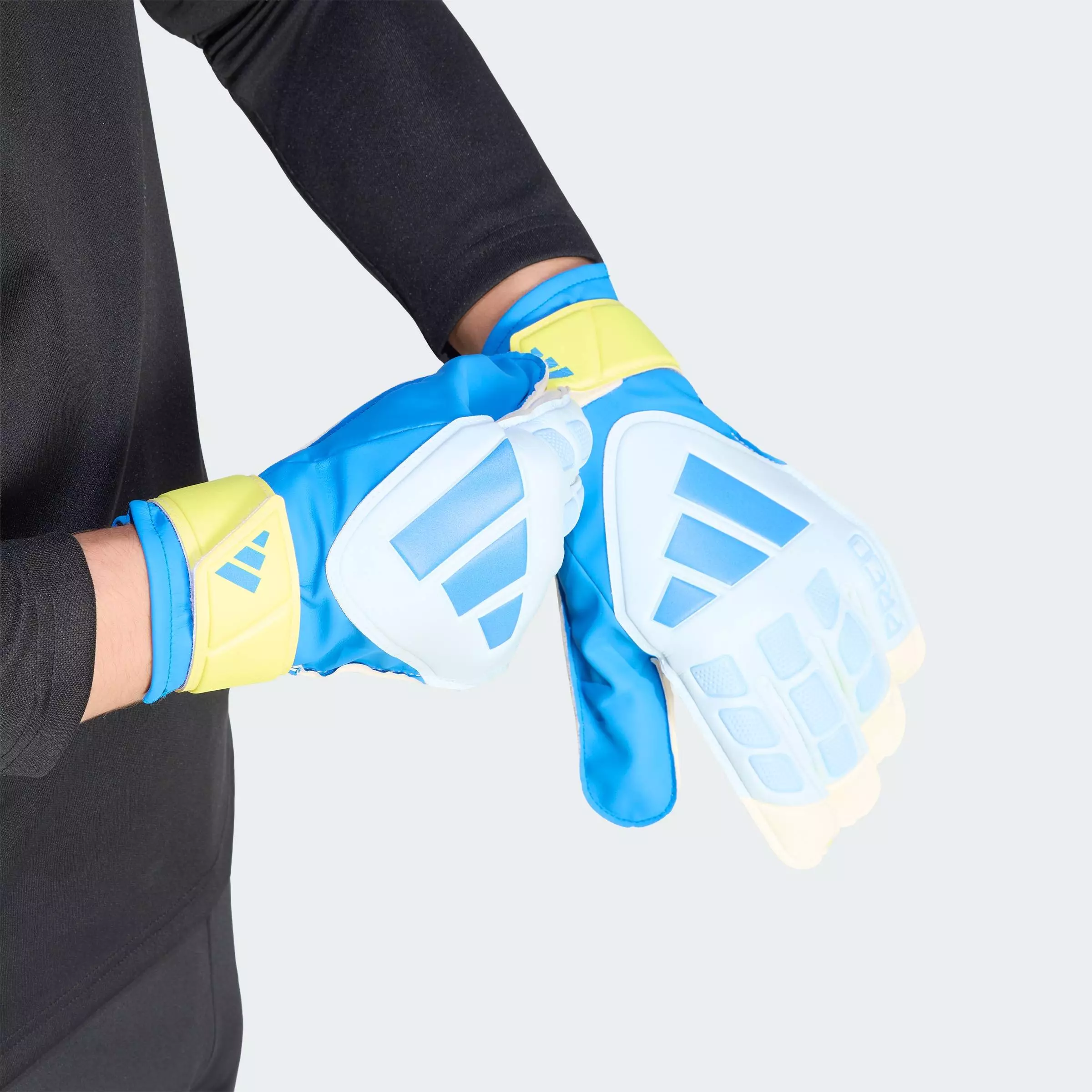 Football PREDATOR GOALKEEPER GLOVE TRAINING Unisex Blue KA7786