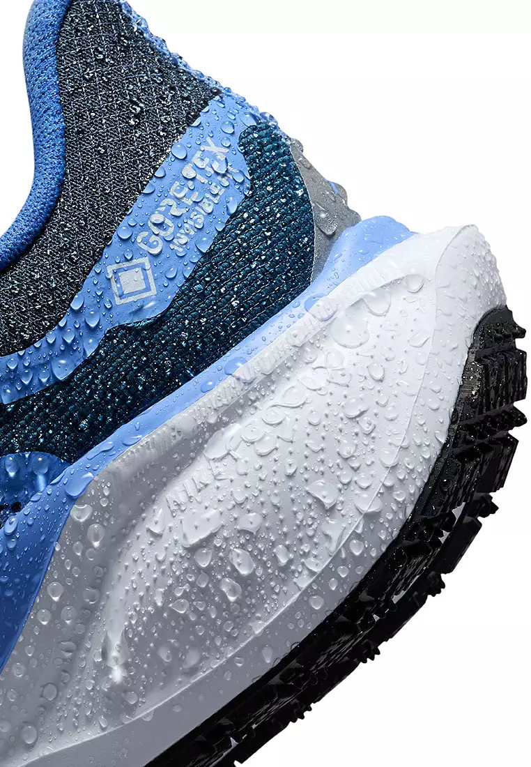 Buy Nike Pegasus 41 GORE-TEX Shoes 2025 Online ZALORA Philippines