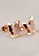 Bullion Gold gold BULLION GOLD Exquisite Butterfly Earrings-Rose Gold 8E498ACED5E36CGS_2
